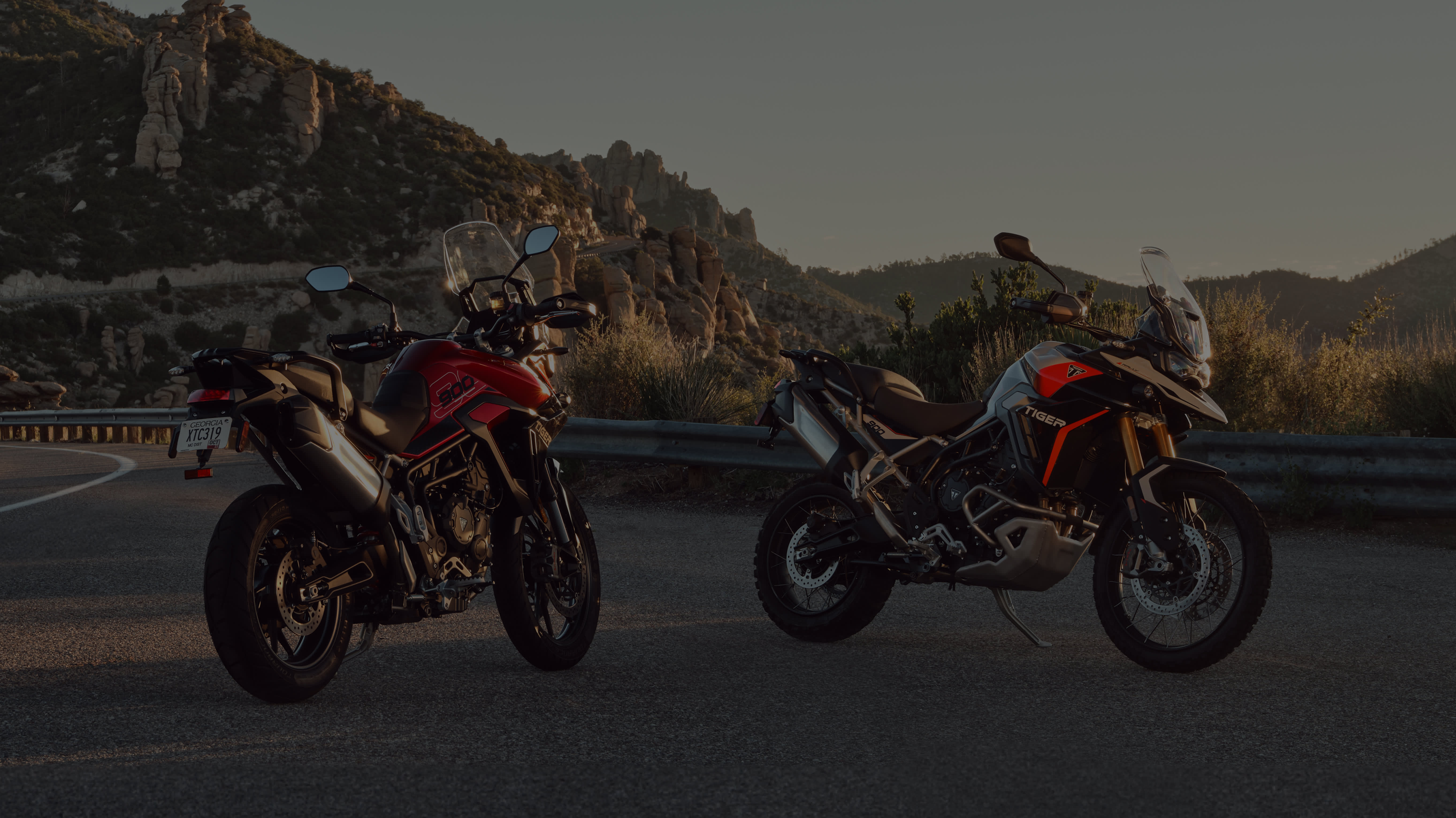 Tiger 900